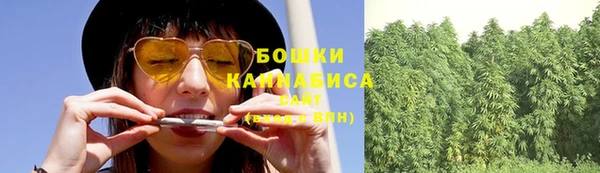 дурь Богородицк