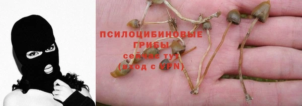 дурь Богородицк