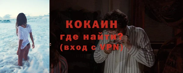 spice Богданович