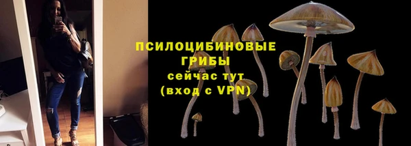 ALPHA PVP Белокуриха