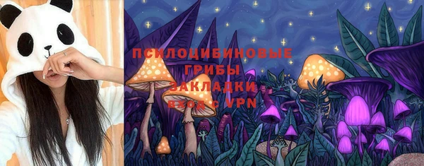 дурь Богородицк