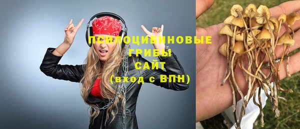 spice Богданович