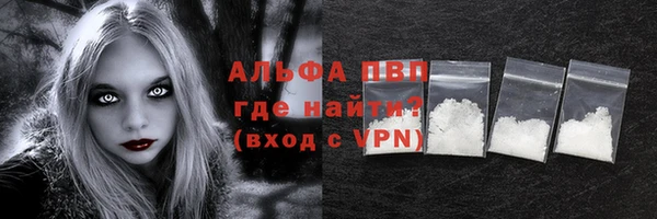 spice Богданович