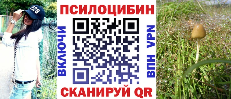 Псилоцибиновые грибы Cubensis  Короча 